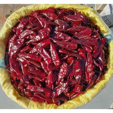2025년 햇 중국산 천진홍(매움) 건고추 1kg, 1개