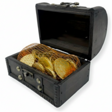 스틴랜드 행운의 보물함 금화 초콜릿, 153g, 2개