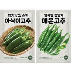 NH농우바이오 순한맛 매운맛 고추 씨앗, 1개