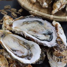 [춘백이네어부장터] 당일작업 통영 석화 5kg, 1개