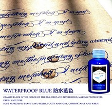BANMI 鯨魚系列防水墨水 奈米級鋼筆彩墨, 03-藍色(BLUE),50ml, 1個