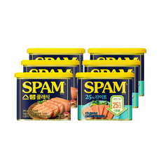 비비고 (CJ제일제당) 스팸 클래식 + 스팸 25프로 라이트 (마일드), 비비고 (CJ제일제당) 스팸 클래식 340G 3개 +, 3개