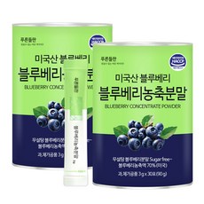 푸른들판 무설탕 블루베리 농축 분말 스틱 과일 가루 파우더, 2개, 90g