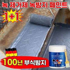 [100년 부식방지] 스피드피그 녹 제거제 녹 전환제 페인트 방청도료 금속 스텐 철판 녹제거 녹 변환제 옥상 외벽 계단 페인트 롱래스팅 방부식, 2개, 300g, 화이트
