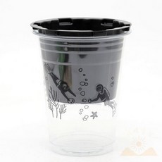 한컵쑥쑥 콩나물 식물키트 야채키우기 씨앗키트 실내수경재배