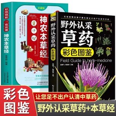 番茄優選 野外認埰草藥彩色圖鑑 圖解中華漢方 快速認藥彩圖 全套中草藥學 野外, 【2本】野外認採草藥彩色圖鑑+神農本草經