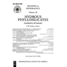 Hydrous Phyllosilicates: (Exclusive of Micas) Paperback, de Gruyter, English, 9780939950232