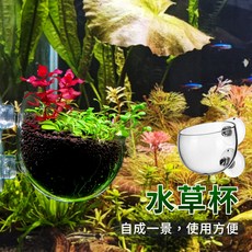 空中水草杯 造景盆 玻璃水草杯 水草缸水草泥飼育杯 水草盆 水晶玻璃水草杯, 1個