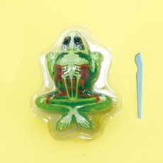 중등 과학교실 생물수업 젤라틴 개구리해부 체험하기 봉사활동 과학탐구 학습원 과학의달