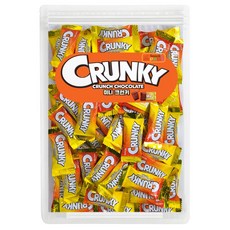 스낵파니 가나 크런키 초콜릿 미니 개별포장 대용량 50개입