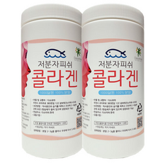 콜라겐 /저분자 피쉬콜라겐/비타민C x증, 1개, 400g, 1정