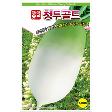 [주주씨앗] 김장무 씨앗 2000립 / 청두골드 육질이 치밀한 맛좋은 김장용 무 종자 / 가을 파종 채소씨앗 씨앗몰, 1개