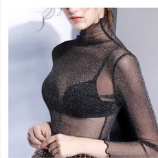 여성 시스루 폴라티 목폴라 탑스 레이스 얇은 목티 소매 메쉬