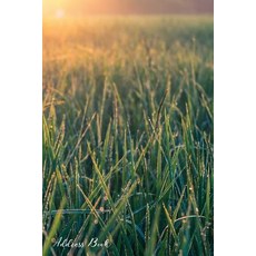 (영문도서) Address Book: For Contacts Addresses Phone Email Note Emergency Contacts ... Paperback, Independently Published, English, 9781070916811
