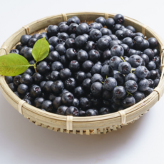 [특품선별] 줄기제거 아로니아 슈퍼베리, 1개, [영양가득]아로니아 최상품 5kg