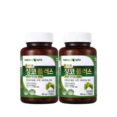 징코플러스 60정 2개, 1개