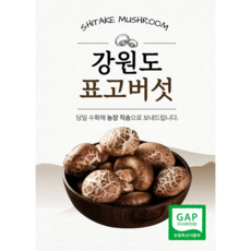 GAP인증 국내산 강원도 생표고버섯 당일수확 산지직송 상품 특품 가정용, 1박스, 가정용 1kg