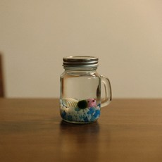 손잡이어항 (소) 마리모 키우기세트, 1개