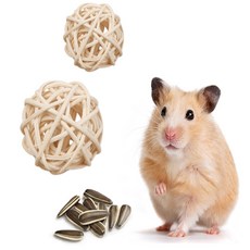로즈비에 햄스터 장난감 노즈워킹, 2-햄스터공5cm, 1