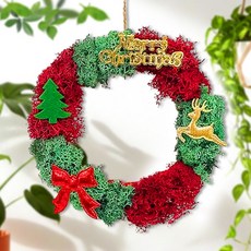 크리스마스 스칸디아모스 만들기 리스 겨울 액자 장식 노인 어르신 중학생 원예 키트 DIY, 크리스마스 리스 만들기(P0000EFG)