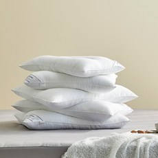 모던하우스 마이크로 화이버 경추 베개솜 2P세트 2size, 01_1+1 경추 베개솜 40x60