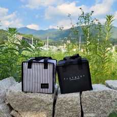 미니 보냉백 쿨러백 차량용 아이스백 캠핑, 블랙