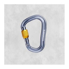 블랙다이아몬드 베이퍼락 스크류게이트 카라비너 297456