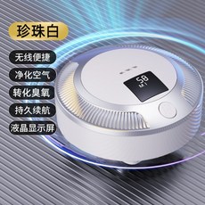 차량용 공기청정기 미니 플라즈마 음이온 미세먼지 냄새 제거 악취 정화 실내겸용, 일반용, 펄 화이트