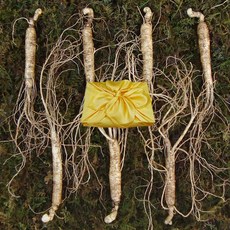 아리아리산삼 6년근 8년근 10년근 산삼 산양삼 장뇌삼 산양산삼 장뇌 자연산 주 설 추석 선물세트, 1개, 선택4. 6년근 특상품 7뿌리