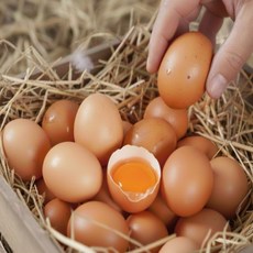 난각번호 1번 유정란 계란 20구 40구 60구 무항생제 자연방사 자유방목 달걀