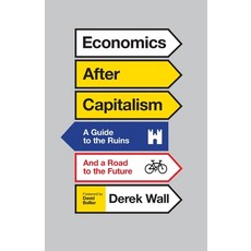 (영문도서) Economics After Capitalism: A Guide to the Ruins and a Road to the Future Paperback, Pluto Press (UK), English, 9780745335070