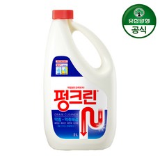 유한양행 펑크린 배수구 세정제, 2L, 1개