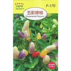 天星牌 五彩辣椒 種子 觀賞辣椒 野菜部屋, 1包