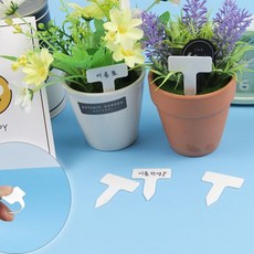 미니 소형 사각 화분 튼튼 다육이 식물이름표 10P, 화이트