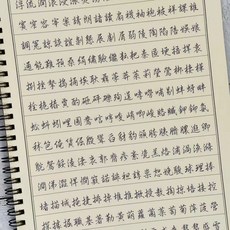 繁體字字帖練習本：港版香港行書瘦金體，簡繁對照成人鋼筆字帖，提升書法技巧, 1個, 行書繁體