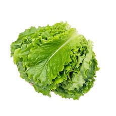 새벽시장/당일출고 국내산 청상추 쌈용 샐러드야채 샐러드채소 상추 쌈채소, 1개, 100g