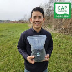 25년 햇 쥐눈이콩 약콩 서목태, 2kg, 1개