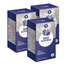 슬로어게인 빌베리 브라이트닝 농축 분말 98%, 3개, 120정