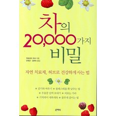 茶的20000個秘密, 山智尼