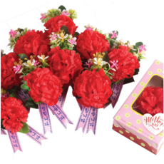 노크원 국산카네이션코사지 조화 브로치 어버이날 스승의날 행사용, 5개, 특1