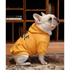 예일 투톤아치 도기 후드_옐로우 189279