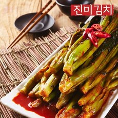 진미김치 전라도 갓김치 3kg, 1