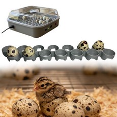 메추라기 알 부화 트레이는 Maticoopx 인큐베이터 M20/M30 모델과 호환 11홀 및 14홀 옵션 (M30), M30