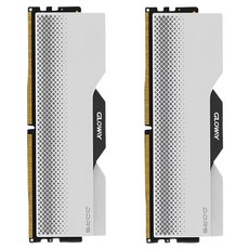 글로웨이 DDR5 용무 시리즈 하이닉스 A다이 히트싱크 메모리 실버 6000MHz C28 16GB 2개입, 1세트, GW6000N16G-SA 1세트, GW6000N16G-SA
