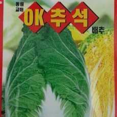 [가람종묘사] OK추석배추 씨앗1000립(내서성 내병성에 강한 추석 배추 품종), 1개