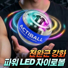 디액티브 자이로볼 전완근 운동기구 손목강화 악력 스트레칭 파워볼 액티볼, 1개, 스포티 블루
