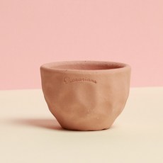 투구 별선인장 키우기쉬운 아프리카식물 아스트로피툼, 1개, 투구+화분(허니)+전용 흙