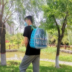 앵무새 외출 조류용품 배낭 백팩 대형 이동가방 놀이터 여행 이동장, 1개 고추 막대+2개 사료 상자+스탠딩 네트, 1개, 21홀 라이트블루