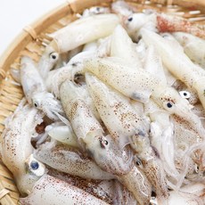 국내산 제철 호래기 꼴뚜기 1kg 알배기 생물 냉동 특대, (요리용)꼴뚜기 랜덤사이즈 1kg 내외, 1개