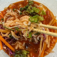 국내산 육수포함 한치물회, 1세트, 500g(한치200g+육수300g)